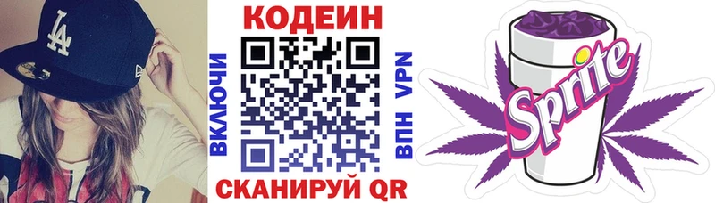 Купить закладки  Елизово  Кодеин напиток Lean (лин) 