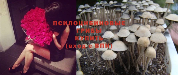 MDMA Дмитров