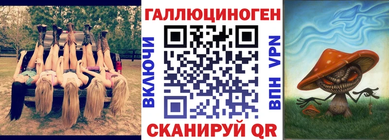 Купить  Елизово  Галлюциногенные грибы Magic Shrooms 